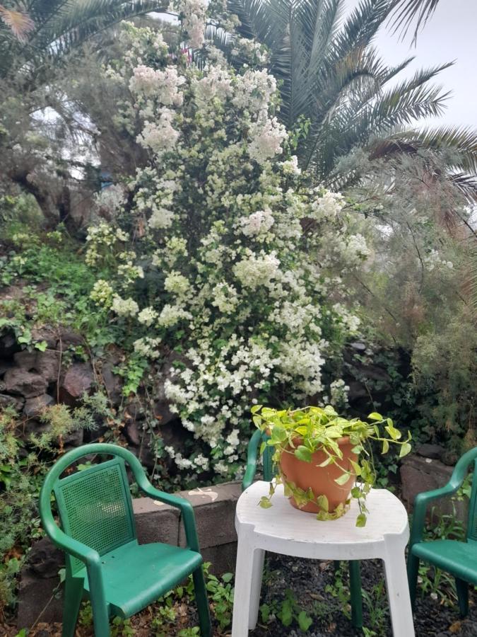 -The Garden - Daire Las Palmas de Gran Canaria Dış mekan fotoğraf